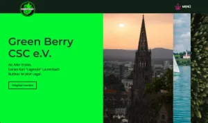 Webdesign für Green Berry